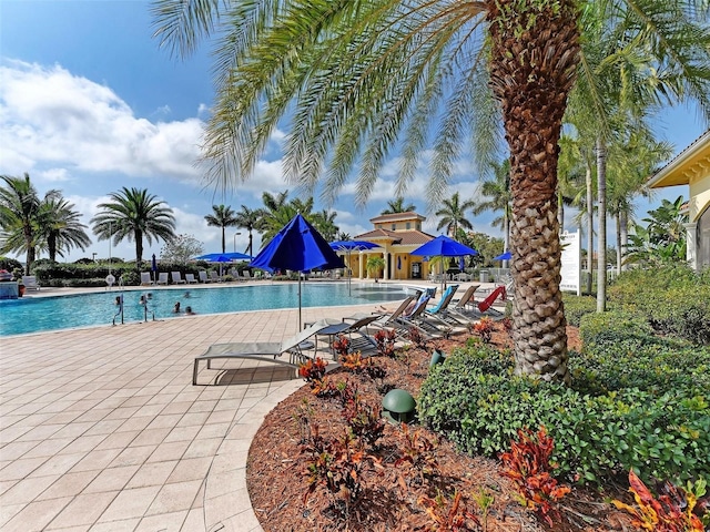 view of swimming pool with a patio area