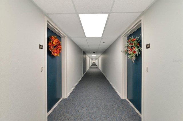 hallway featuring carpet and a paneled ceiling