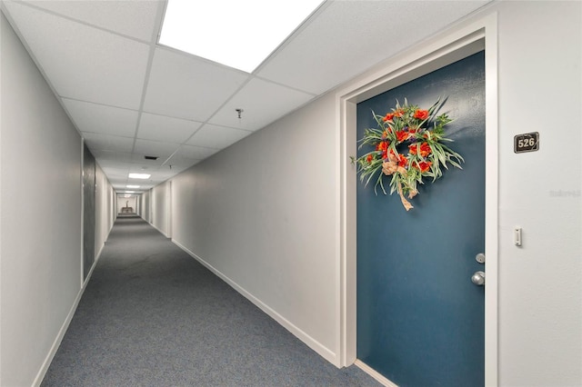 hallway featuring a paneled ceiling and carpet floors