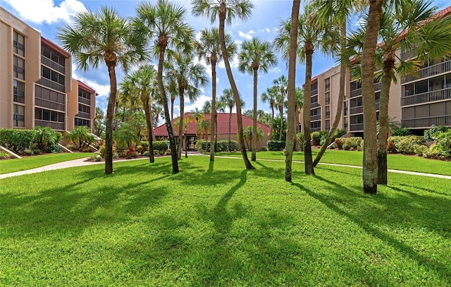 view of community with a lawn