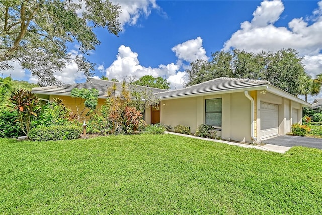 ranch-style house with a front lawn