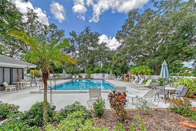 view of pool with a patio area