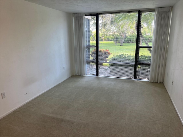 empty room with carpet flooring