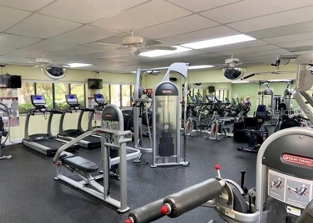 gym with ceiling fan and a drop ceiling