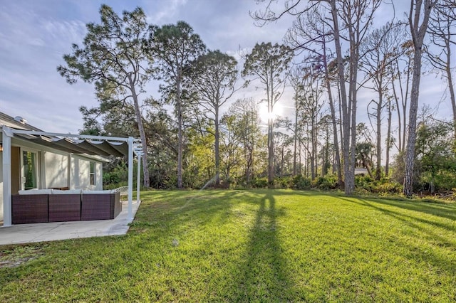 view of yard featuring a patio and a pergola