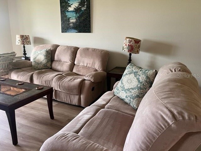 living room featuring wood-type flooring