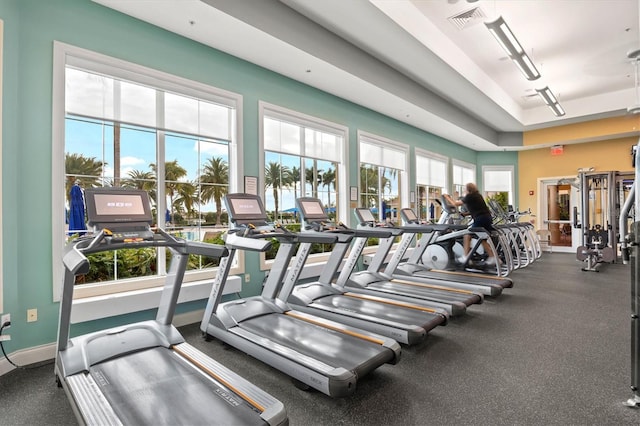 exercise room with a healthy amount of sunlight and a raised ceiling