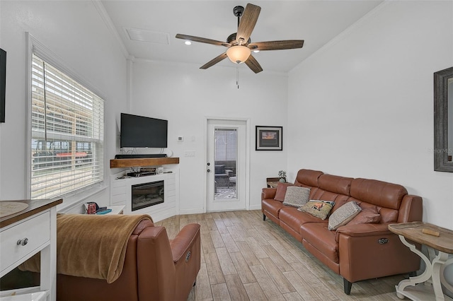 living room with crown molding, ceiling fan, and light wood-type flooring