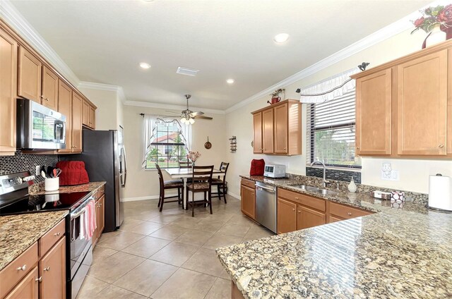 kitchen with ceiling fan, a healthy amount of sunlight, stainless steel appliances, and sink