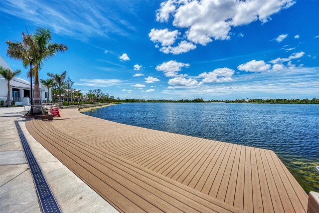 dock area with a water view