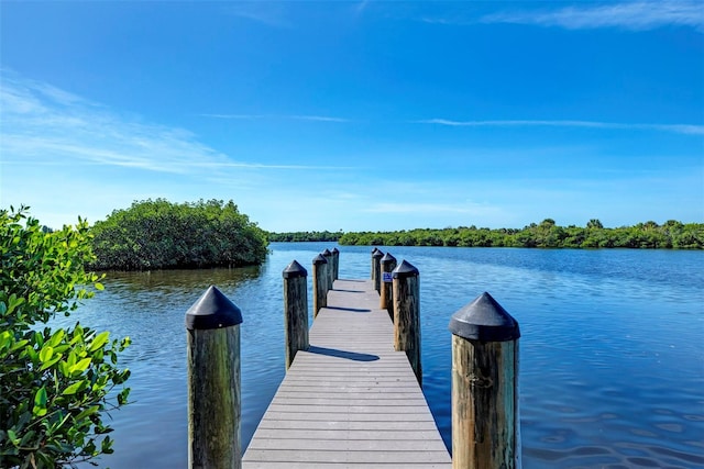 view of dock with a water view