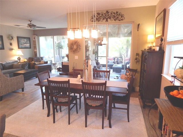 dining area with ceiling fan, hardwood / wood-style flooring, and a healthy amount of sunlight