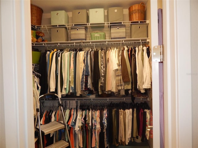 view of closet