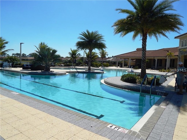 view of pool featuring a patio