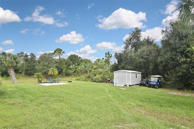 view of yard featuring a patio area and a storage shed