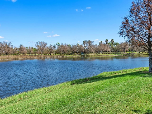 water view