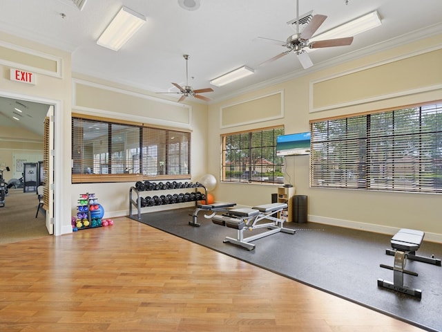 workout room with ceiling fan, light hardwood / wood-style flooring, ornamental molding, and a healthy amount of sunlight