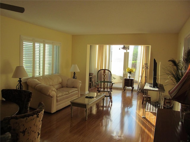 living room featuring hardwood / wood-style floors