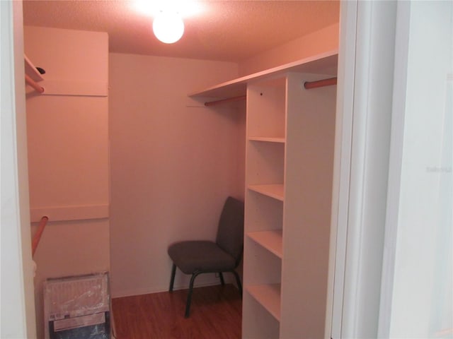 spacious closet featuring wood-type flooring