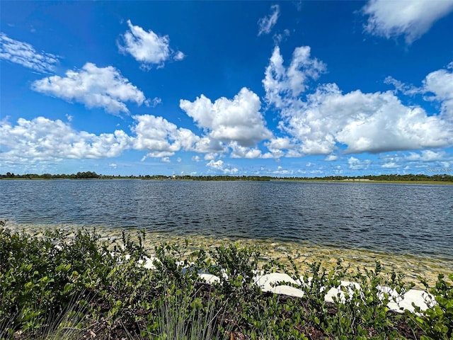 view of water feature