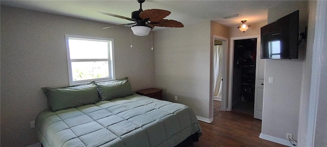 bedroom featuring a walk in closet, ceiling fan, hardwood / wood-style floors, and a closet