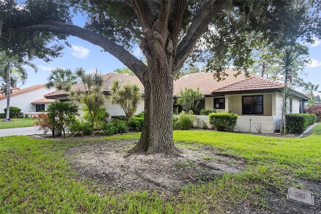 view of front of property featuring a front yard