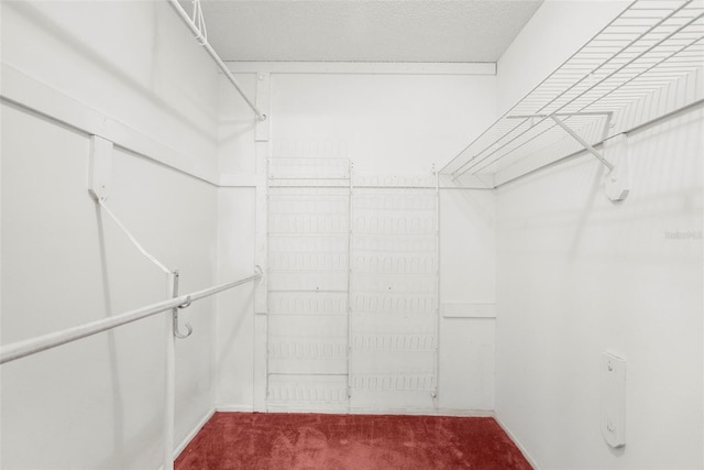 walk in closet with carpet