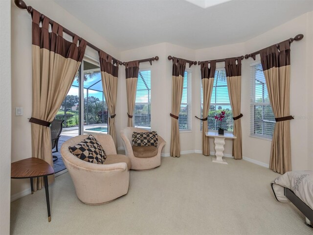 sitting room featuring a wealth of natural light and carpet flooring