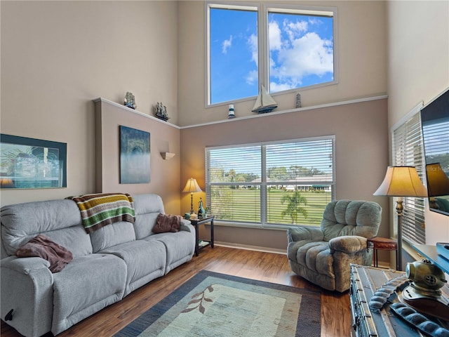 living room featuring wood-type flooring and a towering ceiling