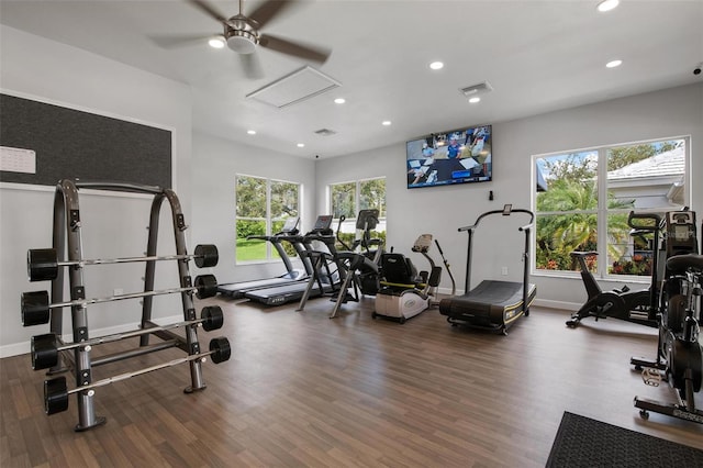 gym with wood-type flooring, ceiling fan, and a wealth of natural light