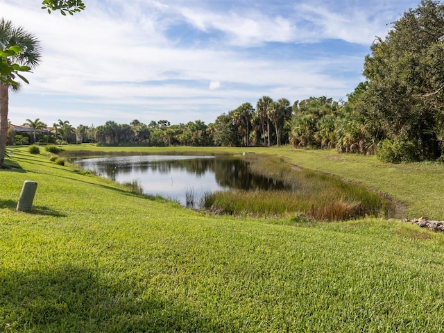 property view of water