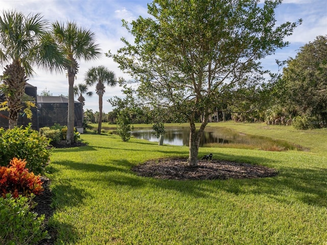 view of yard with a water view