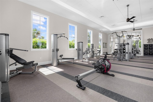 gym with a tray ceiling, ceiling fan, crown molding, and carpet