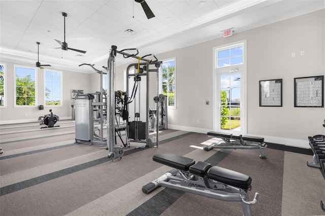 workout area with carpet, ceiling fan, and ornamental molding