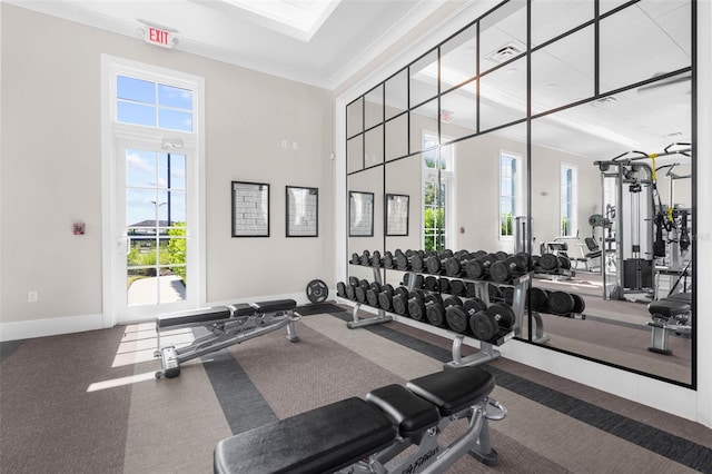 workout area with carpet and crown molding