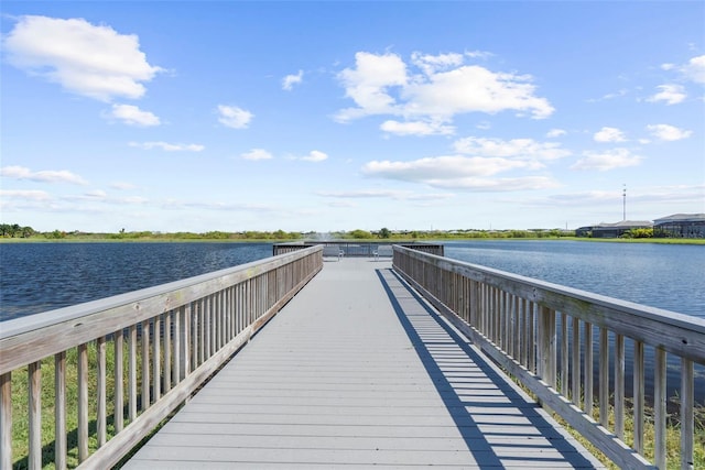 dock area with a water view