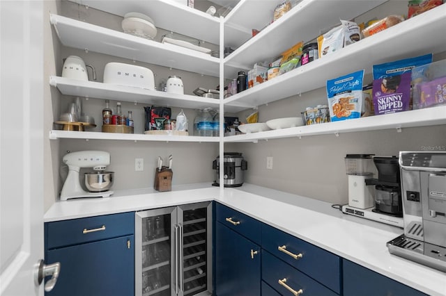 pantry with wine cooler