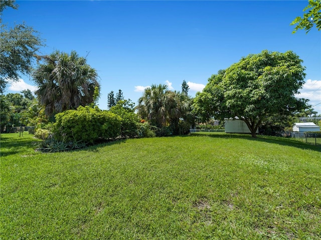 424 Baycrest Dr, Venice, FL 34285 - view of yard