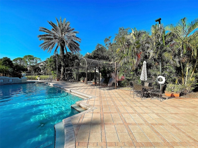 view of swimming pool featuring a patio