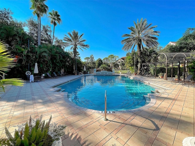 view of pool with a patio