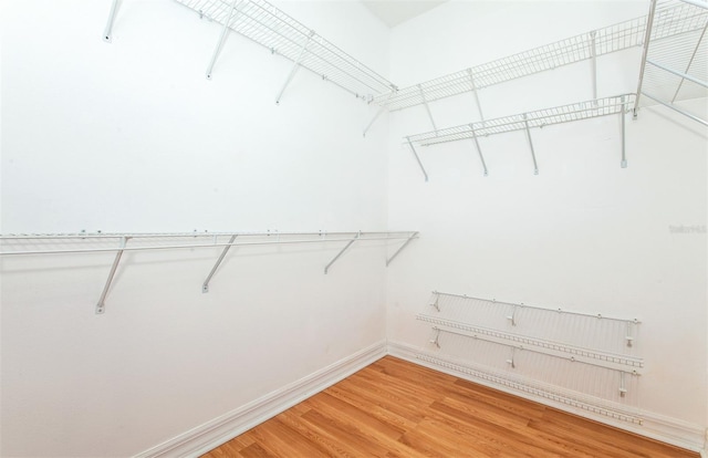 walk in closet featuring hardwood / wood-style flooring