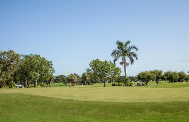 view of property's community featuring a yard