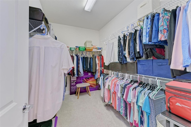 walk in closet featuring light carpet