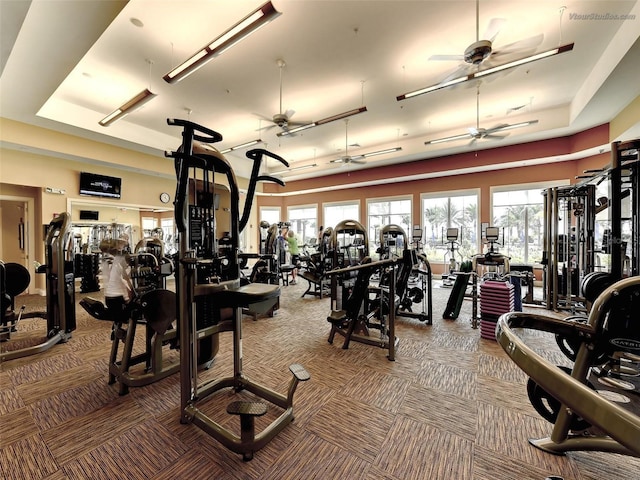 exercise room with carpet, ceiling fan, and a raised ceiling