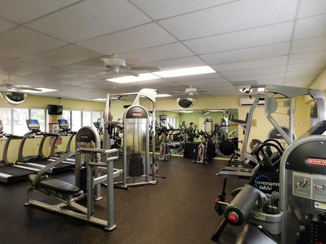 gym featuring an AC wall unit, ceiling fan, and a paneled ceiling