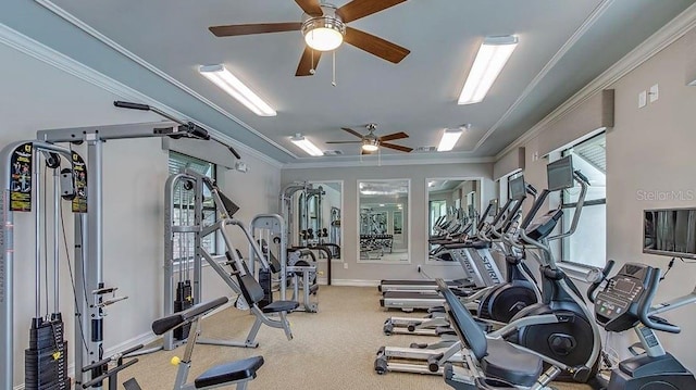 workout area with carpet, ornamental molding, and ceiling fan