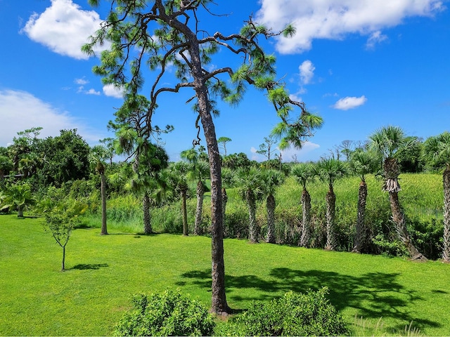 surrounding community featuring a lawn