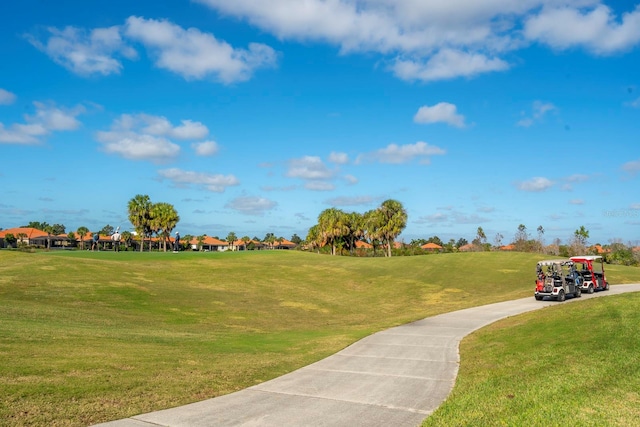 view of home's community with a yard