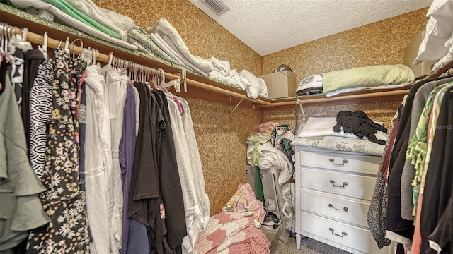 walk in closet featuring carpet flooring