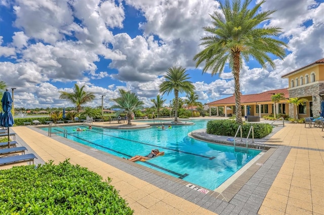 view of swimming pool featuring a patio